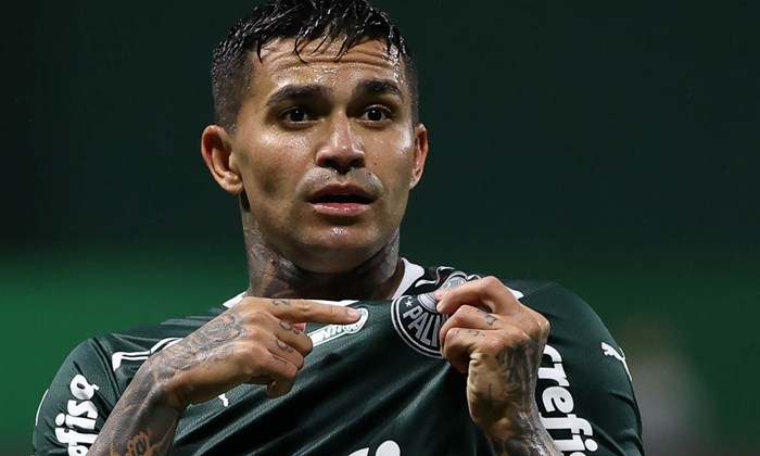Botafogo faz sondagem e tenta tirar o atacante Dudu do Palmeiras