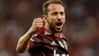 Everton Ribeiro