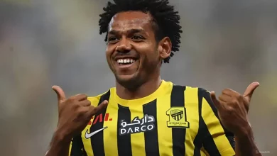 Romarinho livre no mercado