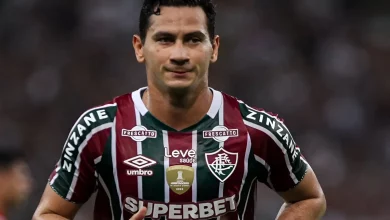 Ganso no Flu